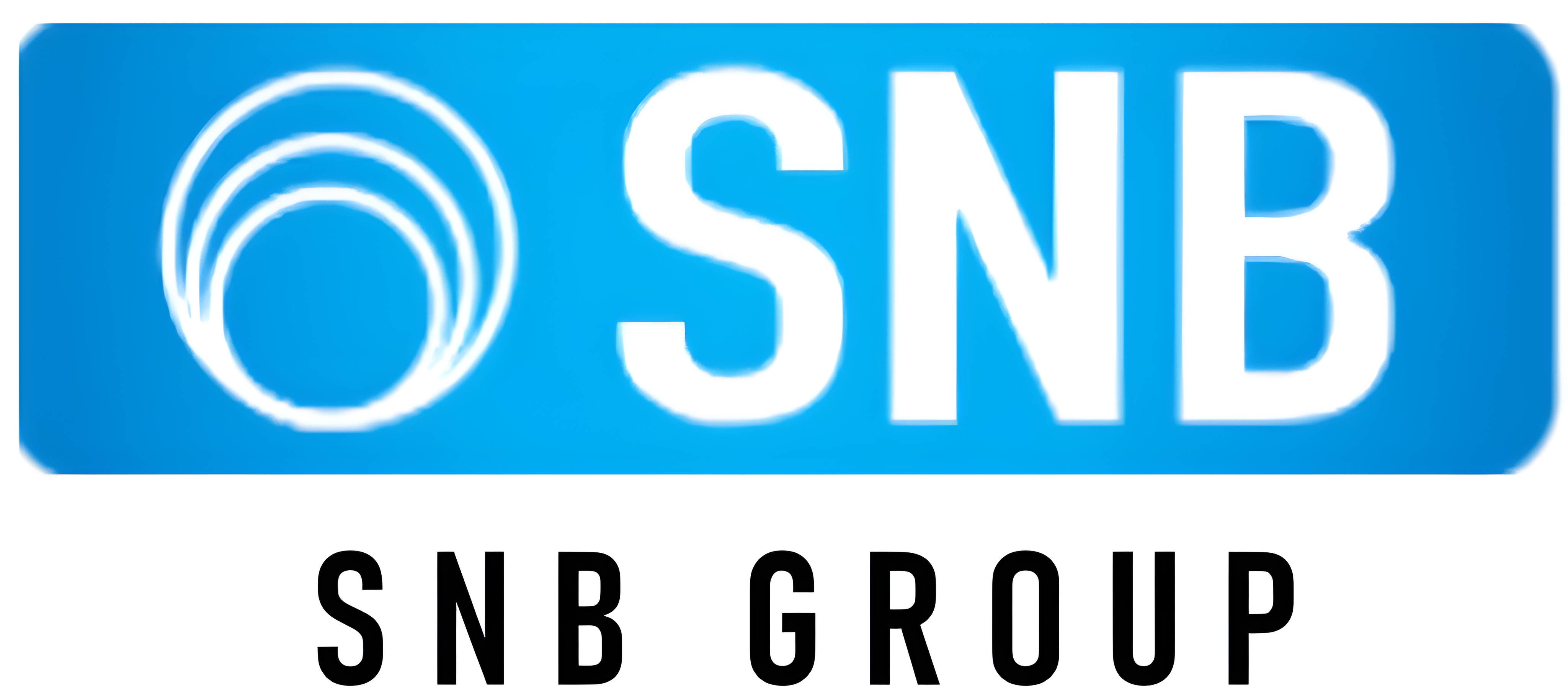 SNBロゴ